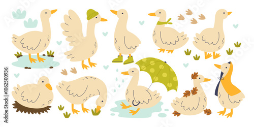 Cute goose farm bird childish characters in different position and action outdoors isolated set