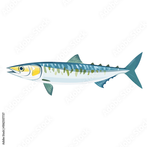 king mackerel fish