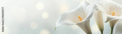 A bouquet of white flowers with droplets of water on them