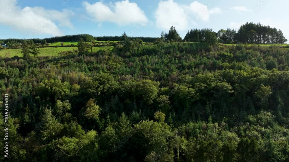 Aerial video captures stunning lush fields and serene forests 4k Aerial video captures stunning lush fields and serene forests 4k