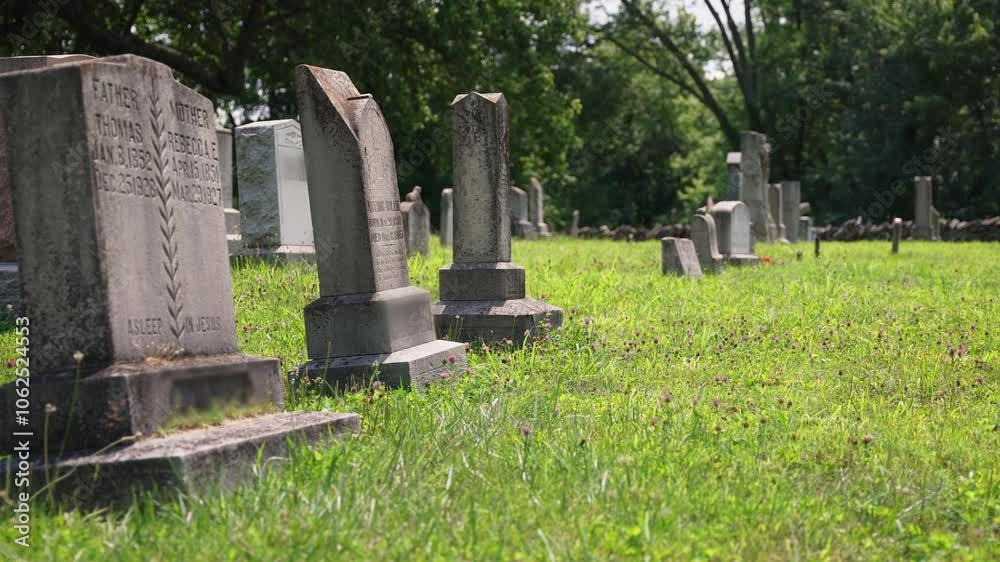 Cemetery 3