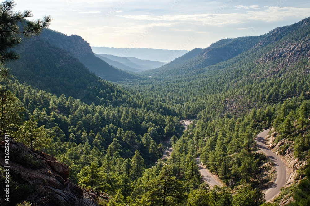 Scenic overlook with a road winding through pine forest below, panoramic beauty Scenic overlook with a road winding through pine forest below, panoramic beauty