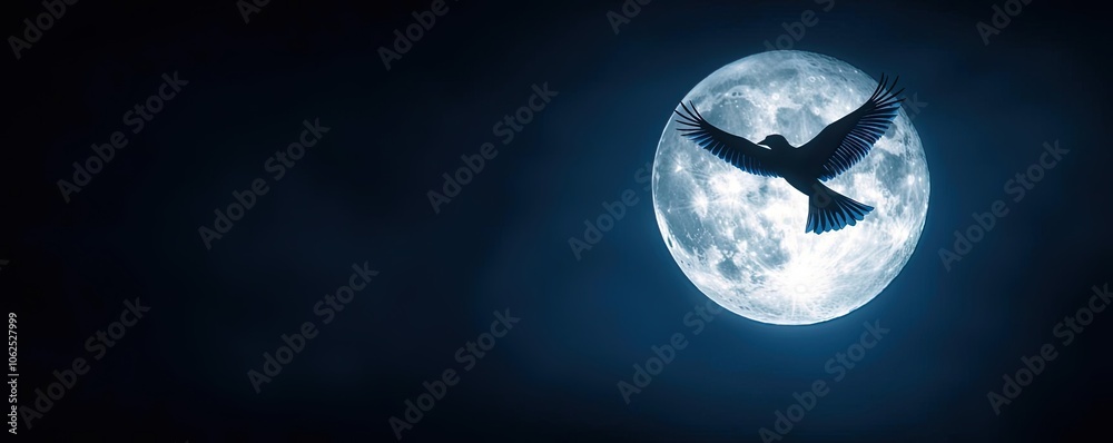 A bird soaring against the backdrop of a full moon in a dark sky. A bird soaring against the backdrop of a full moon in a dark sky.