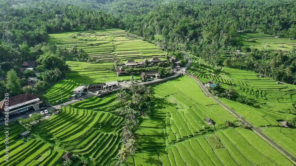 Drone View of Jatiluwih Rice Terrace in Tabanan Bali Indonesia Drone View of Jatiluwih Rice Terrace in Tabanan Bali Indonesia