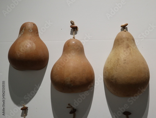A ladle made from a dried gourd design for tradiational and natural lifestyle