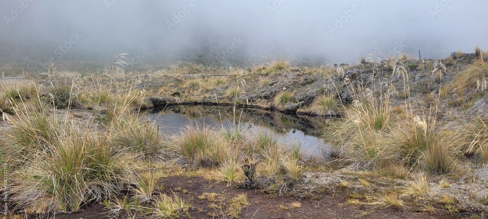 Desde las llanuras del tópico hasta las más altas cimbres andinas, los paisajes son únicos e irrepetibles: las maravillas de la región Andina Desde las llanuras del tópico hasta las más altas cimbres andinas, los paisajes son únicos e irrepetibles: las maravillas de la región Andina