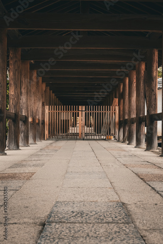 Endless wooden roads.