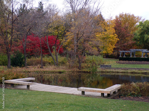 Fall landscape with pond in the park