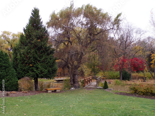 Fall landscape with pond in the park