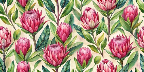 Wide Angle Watercolor Seamless Pattern with Magenta Protea Floral Background Blooming Flowers and Protea Leaves