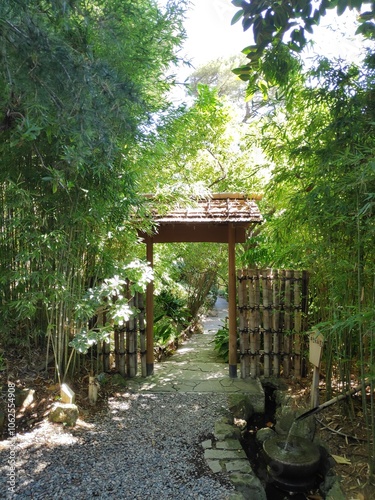 A tranquil bamboo garden path softly leads up to a sunlit traditional gate, enveloped in greenery, embodying peace, reflection, and natural beauty in its essence.
