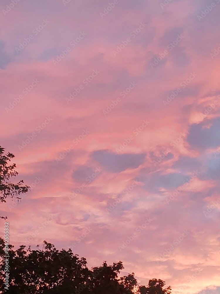 A mesmerizing sunset sky ablaze with pink hues, where soft clouds create an awe-inspiring backdrop that evokes wonder and peaceful reflection amid nature's art.
