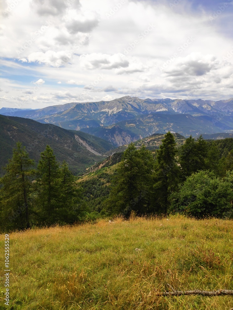 Rolling mountain ranges under a vast sky, flanked by lush forests and grassy foreground, offering a serene and expansive view into untamed wilderness. Rolling mountain ranges under a vast sky, flanked by lush forests and grassy foreground, offering a serene and expansive view into untamed wilderness.