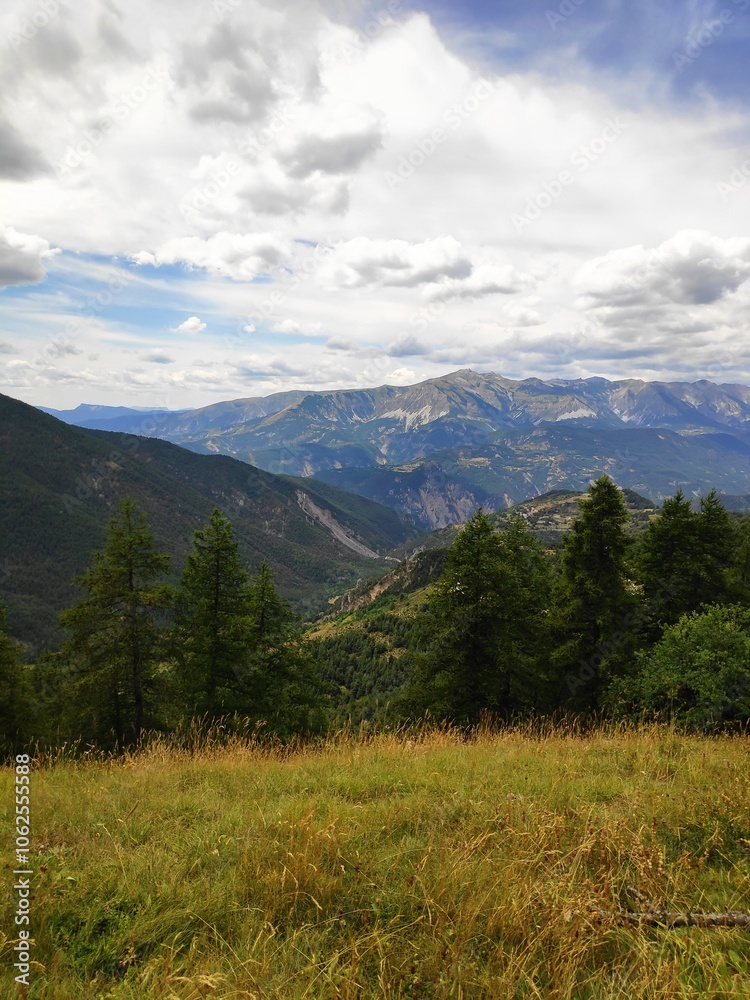 A panoramic landscape showcasing mountains under a partly cloudy sky, surrounded by lush green forests and a vibrant grassy foreground, exuding tranquility. A panoramic landscape showcasing mountains under a partly cloudy sky, surrounded by lush green forests and a vibrant grassy foreground, exuding tranquility.