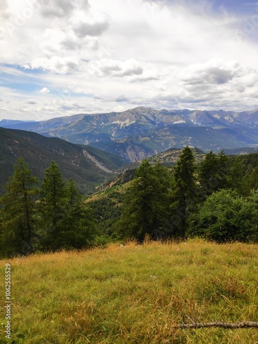 Rolling mountain ranges under a vast sky, flanked by lush forests and grassy foreground, offering a serene and expansive view into untamed wilderness.