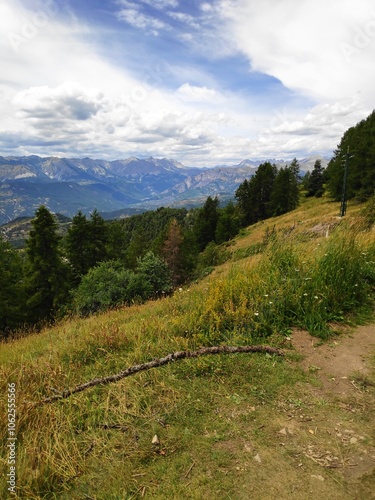 An extensive view of distant mountains framed by a lush green forest, under a dynamic cloudy sky, representing calmness and beauty in nature’s untouched state.