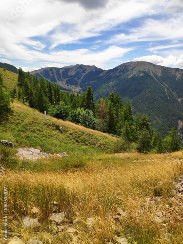 A hillside view leading to distant mountains, with a mix of open grass and trees, under a clear sky, capturing the beauty and peace of nature's landscapes.