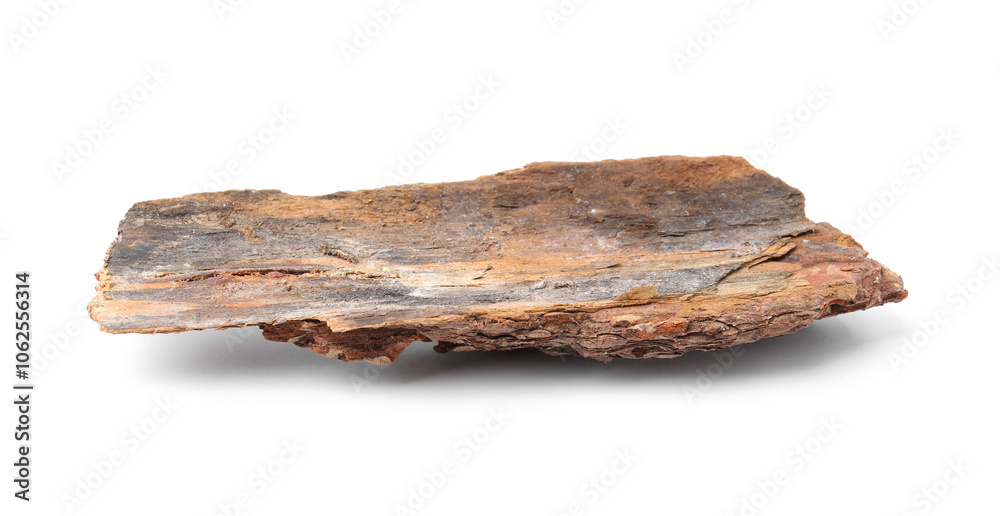 One piece of tree bark on white background One piece of tree bark on white background