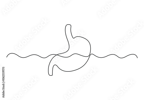 Stomach continuous one line drawing. Vector illustration minimalist human organ. Pro vector 