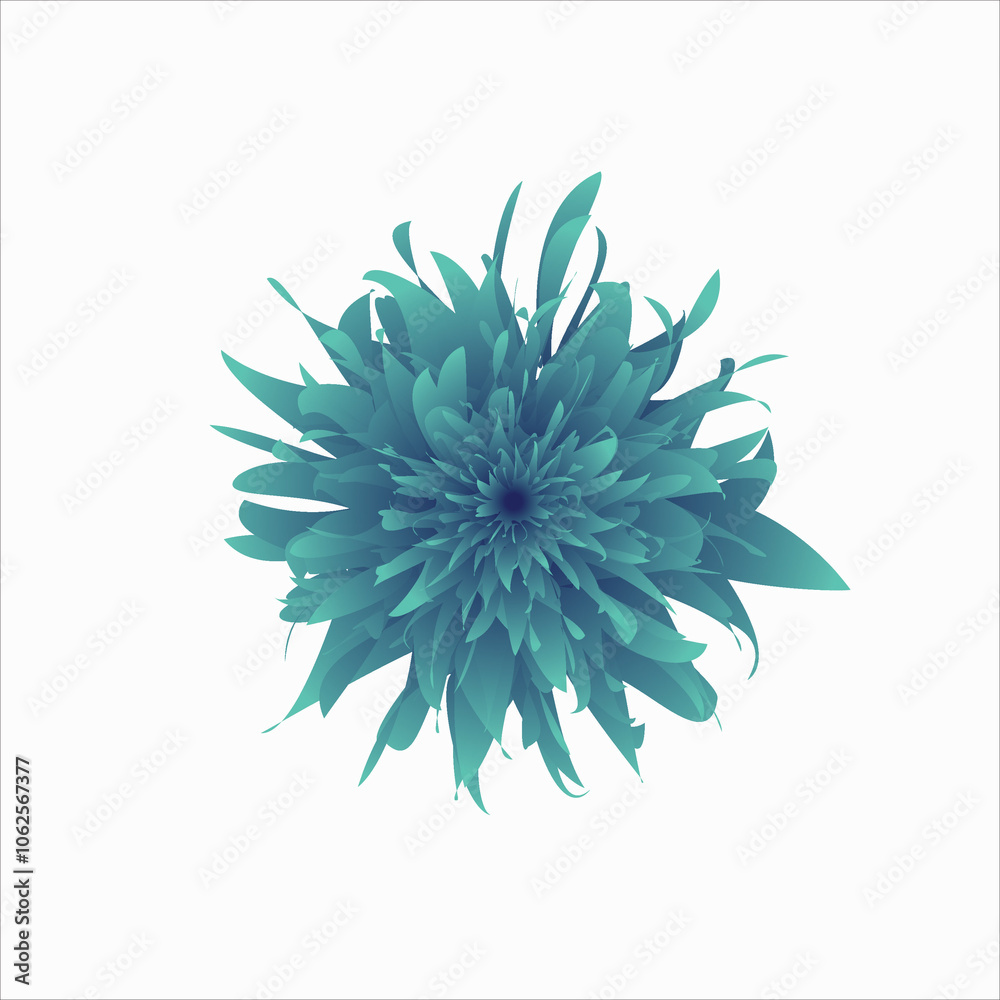 flower isolated on white flower isolated on white