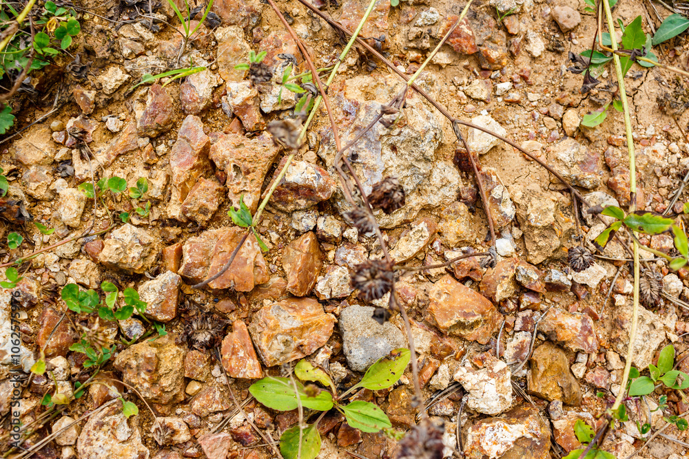 Chunks of bright brownish flints lying on the ground Chunks of bright brownish flints lying on the ground