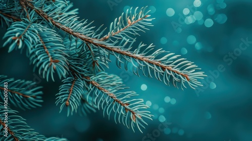 Closeup of lush green pine tree branches, perfect for a festive Christmas backdrop that captures natures beauty.