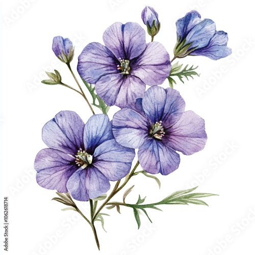 Wallpaper Mural veronica zinnia flower watercolor clipart illustration isolated Torontodigital.ca