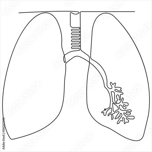 Continuous single line drawing of anatomical human lungs organ medical internal anatomy concept one line design vector illustration