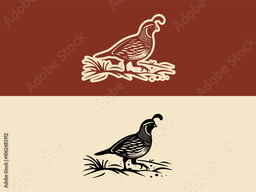 Quail Isolated Vector : The Tiny Ground Bird with a Bobbing Head photo