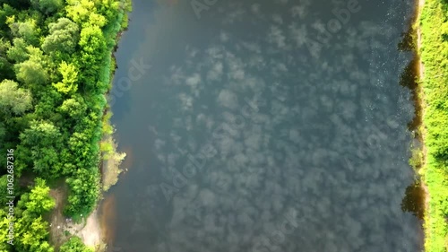 Beautiful summer landscape of river and forest