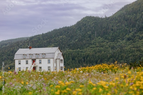 Historic hotel cottage on a hill and meadow of wildflowers in Percé, Quebec, Canada. photo