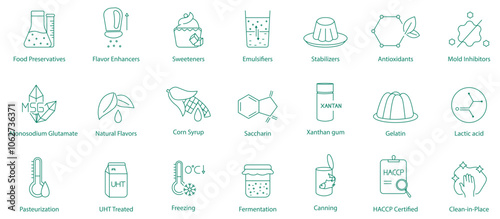 Food Preservatives, Flavor Enhancers, Sweeteners, Emulsifiers, Stabilizers, Antioxidants, Mold Inhibitors, Monosodium Glutamate, Natural Flavors, Corn Syrup, Saccharin, Xanthan Gum, Gelatin, icons