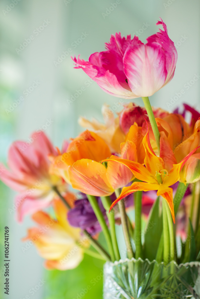 Fototapeta premium fresh tulips in the vase