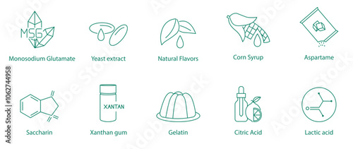 Monosodium Glutamate, Yeast Extract, Natural Flavors, Corn Syrup, Aspartame, Saccharine, Xanthan Gum, Gelatin, Citric Acid, Lactic Acid Vector Icon Set  