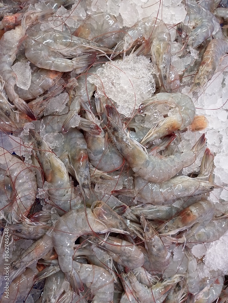 Seafood shrimps. Fresh prawns. Raw shrimp background. Pile of raw shrimp background. Close-up of raw shrimp. top view. shrimp preservation with ice stacks. Seafood shrimps. Fresh prawns. Raw shrimp background. Pile of raw shrimp background. Close-up of raw shrimp. top view. shrimp preservation with ice stacks.