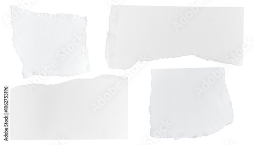 Wallpaper Mural Set of White ripped piece of paper isolated on transparent background PNG file Torontodigital.ca