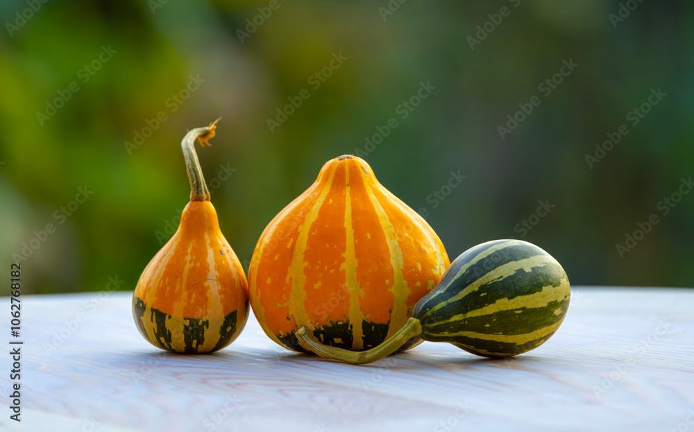 tiny decorated pumpkins with green background