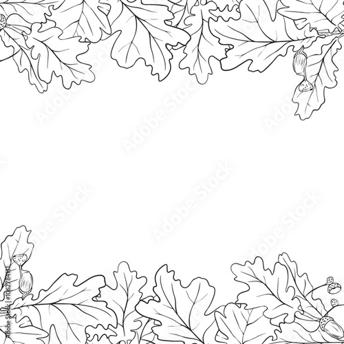 Oak leaf frame. Hand drawn oak leaf composition, vector illustration on white background