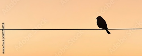 Silhouette of a bird perched on a wire against a sunset background. photo