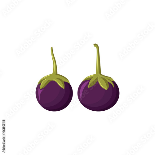 Two round purple eggplants isolated in white
