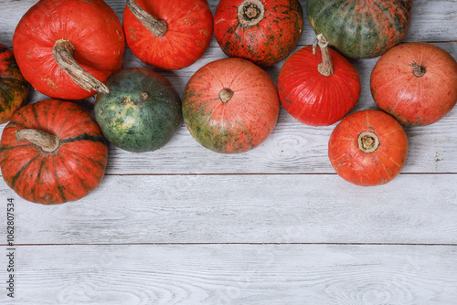 Thanksgiving colorful pumpkins on white wooden table background. October, November holiday, harvest season, fall celebration. Top view, festive template  with copy space