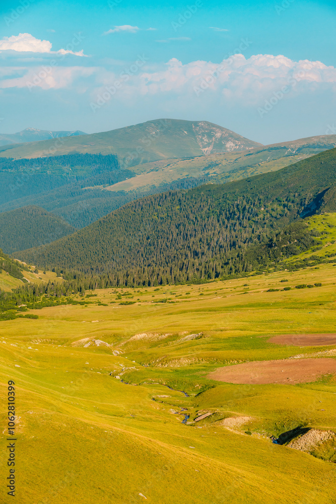 Romania Transalpina road with many serpentines crossing forest in Carpathian mountains. Mountains forest trees with road in Parang mountains Romania Transalpina road with many serpentines crossing forest in Carpathian mountains. Mountains forest trees with road in Parang mountains