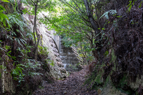 日本の広島県竹原市の大久野島の悲しくも美しい風景 photo