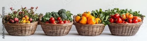 Colorful harvest baskets filled with fresh vegetables including tomatoes, peppers, kale, broccoli, and radishes arranged neatly on a minimalist background.