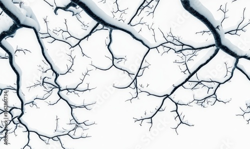 Snow-covered tree branches forming sharp, angular lines against a clear winter sky, creating a natural geometric pattern