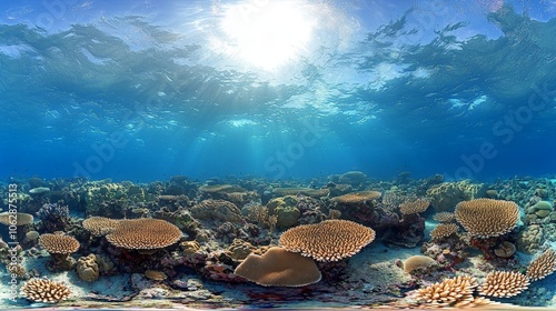 Underwater Coral Reef Scene with Sunlight and Clear Water