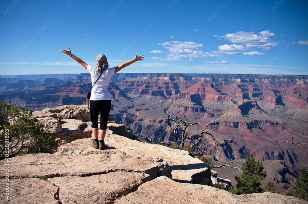 Rear view of mature woman standing on the rim of Grand Canyon Rear view of mature woman standing on the rim of Grand Canyon