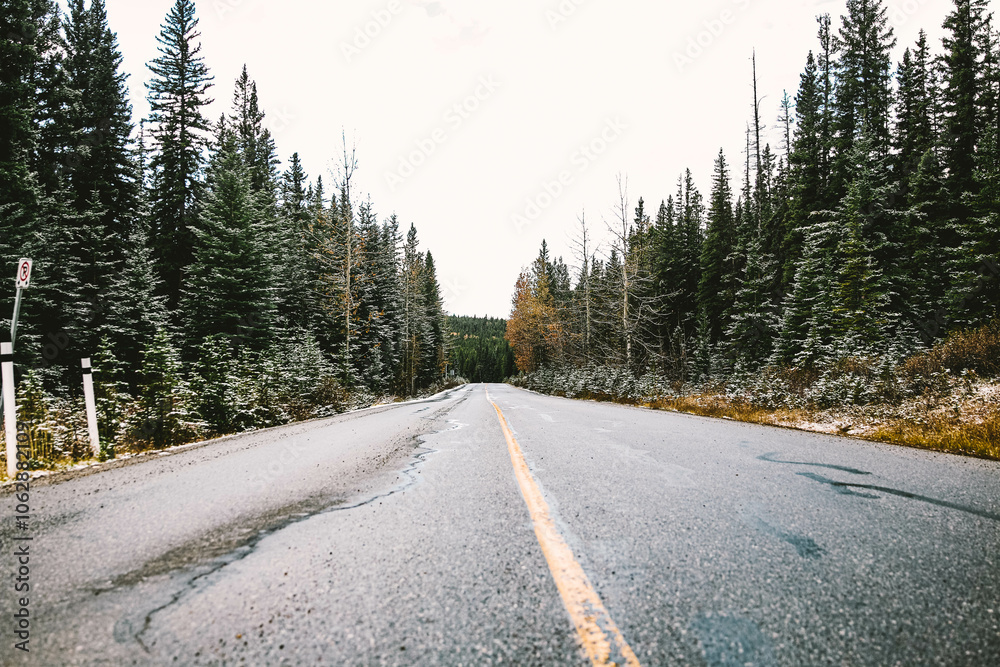 Naklejka premium Road in the Rocky Mountains