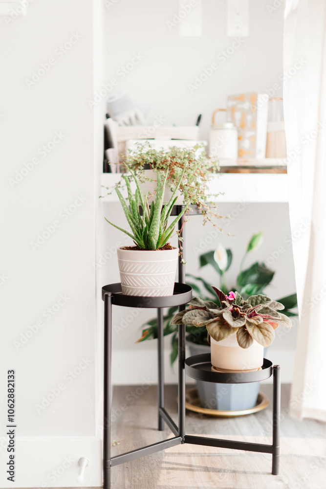 Home Interior Plants Decor by Window Home Interior Plants Decor by Window