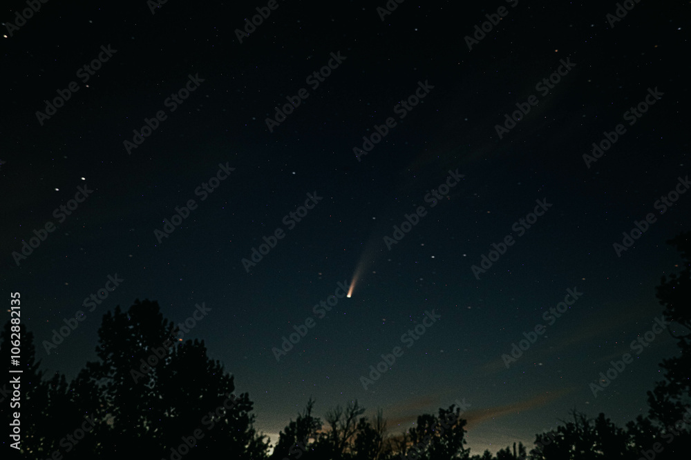 A Comet in the Night Sky A Comet in the Night Sky